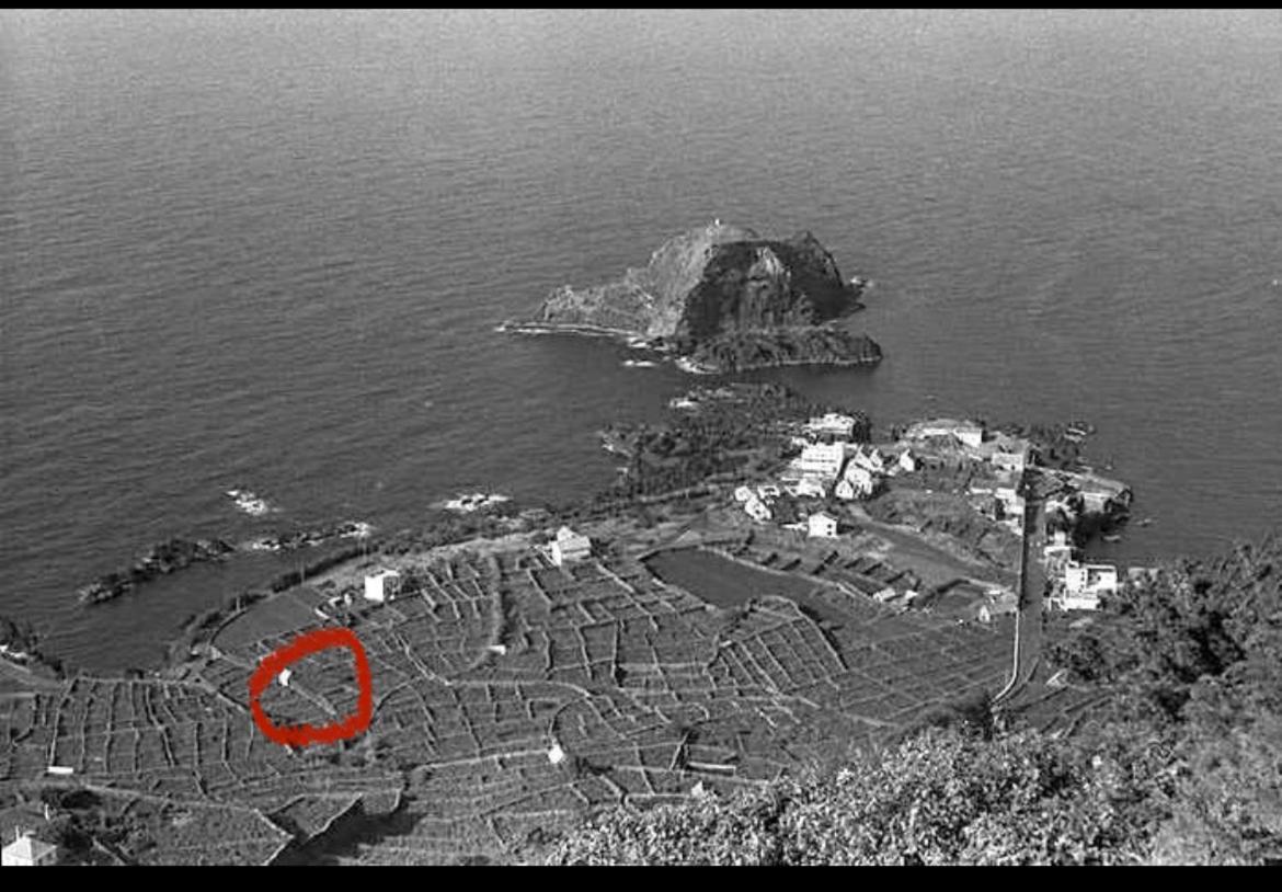 Waves Song - Cottage Порто Мониз Екстериор снимка